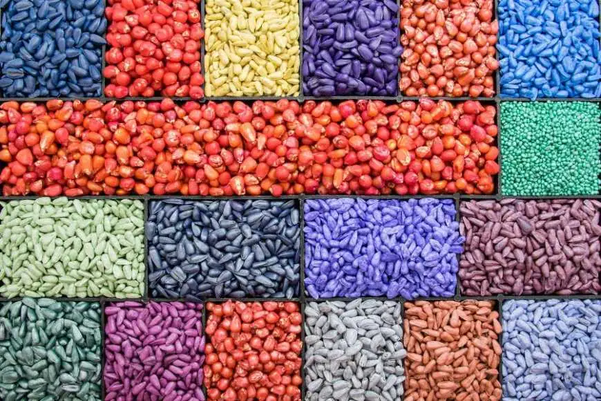 seed_treatment